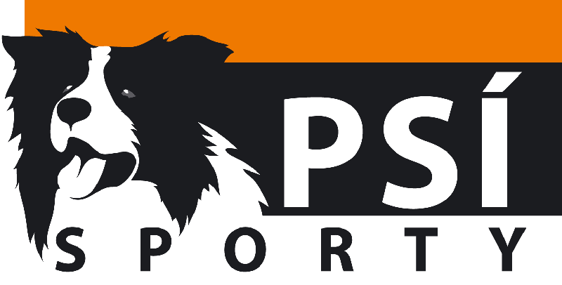 PSI Sporty Logo